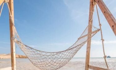 0c182e06 b2cd 4b10 9e84 89c16850bb30