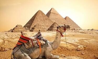 whatsapp image 2026 03 04 at 2.52.20 am (6)