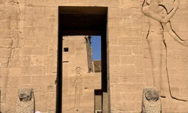 whatsapp image 2026 03 05 at 9.29.58 pm