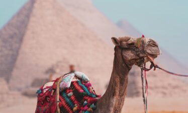 marco d abramo awx7n6qpzbm unsplash