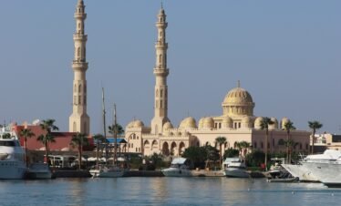 thomas kwiatkowski zxykjpp5dtm unsplash