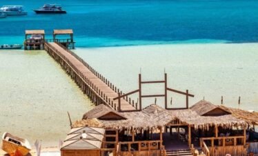 whatsapp image 2026 04 03 at 1.03.04 am