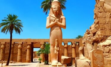 whatsapp image 2026 04 03 at 1.03.05 am